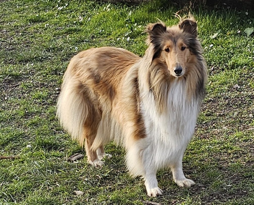 Wiesewyn Ballroom Elegance